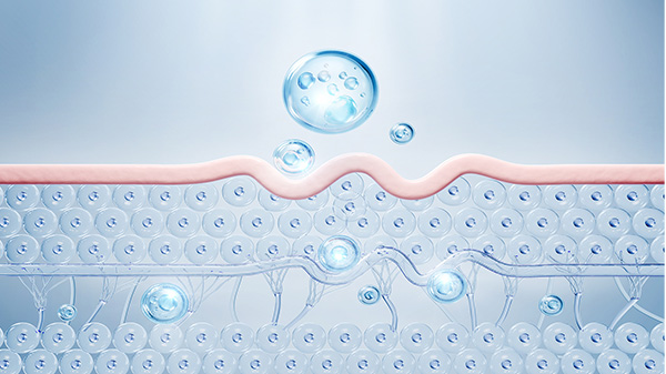 Madecassoside-fordeler og bruksområder innen hudpleie